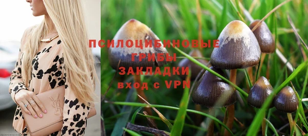 а пвп мука Беломорск