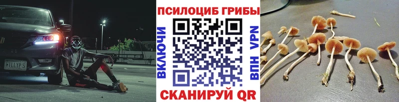 hydra ССЫЛКА  Бодайбо  Псилоцибиновые грибы мицелий 